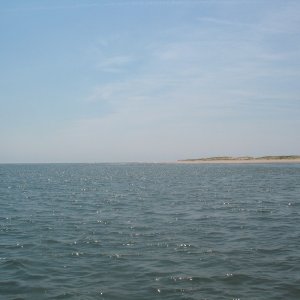 Cape Henlopen Point