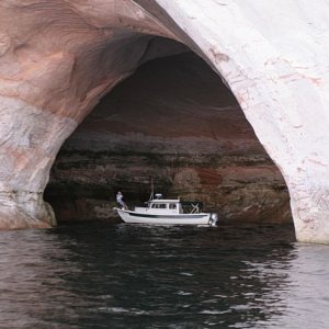 IMG 0004