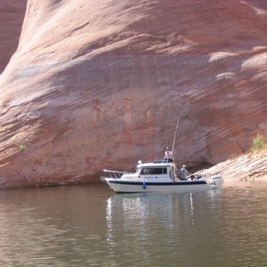 The Fishing Fool