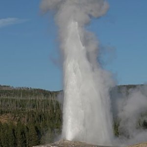 Thar she blows !!!