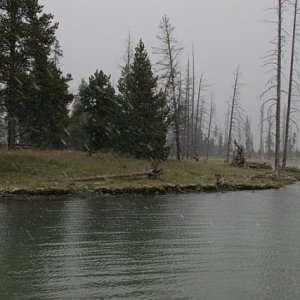 Starting to SNOW