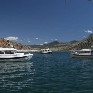 Media 'We met up with Blue Bayou' in album 'Starry Night at Lake Powell'