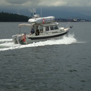 10 June C-Cakes in BC waters