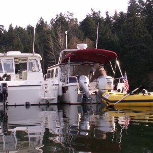 Media 'Trophy Daydream and Baxter in Dinghy - Another Shot' in album 'Laurna Jo Running on Lake Washington 11-23-08'