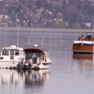Media 'Trophy and Daydream and Cool Retro Yacht' in album 'Laurna Jo Running on Lake Washington 11-23-08'