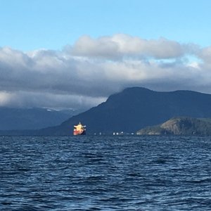 Media 'New Years Eve 2017 off Saanich Inlet' in album 'Delivery Day'