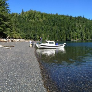 Raven on Hope Island beach, near Cape Scott and Blunden Harbor