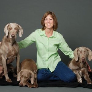 Dana, Koko, Lulu, Yogi