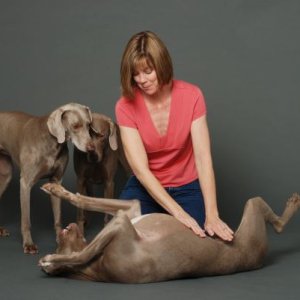 Dana, Koko, Lulu, Yogi