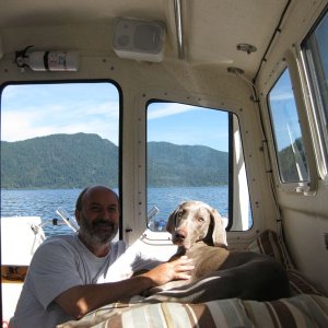 Yogi on lake Crescent