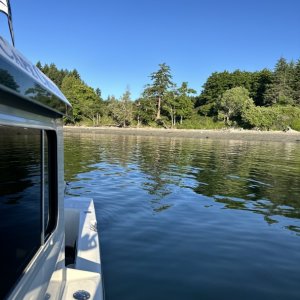 Media 'Telegraph Bay Lopez Isle' in album 'Flounder Bay Fidalgo Isle'