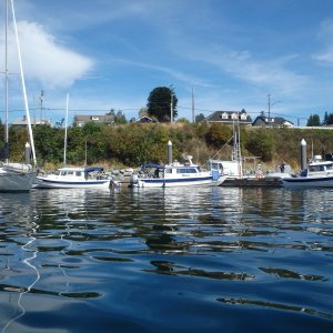 Powell River C-Brat Get Together 2016-08-13 015