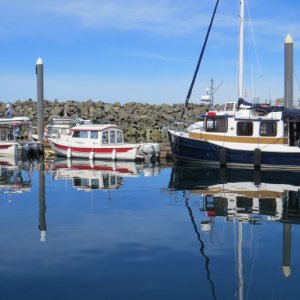 18 C-Dory's and two HAS BEEN C-Brat-ers!  a Ranger Tug from Pennsylvania and a Nordic Tug just switched from Nanaimo joined in too.