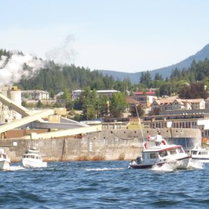 Powell River cement WW11 cement freighters used as break waters for the mill since 1950. Paper mill and townsite in background.  Mill is over 100 years old.  Now employs 300+ people only.