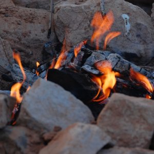 El, where are the marshmallows?