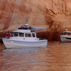 Rockytop and Rana Verde exploring a canyon.