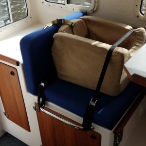 The whole kneeling bar/cargo strap idea was originally because of the dog.
Necessity is the mother of invention, and the little pup couldn't travel without her favorite dog bed.
Creative ways to secure a carseat/dogseat in a vehicle with no seat belts.