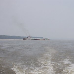 Miss River traffic