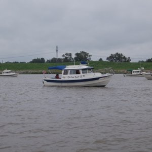 DSC 6981