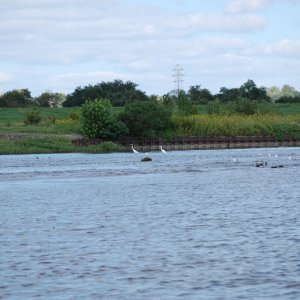 DSC 7068