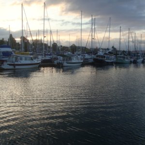 18 May 2012, BHam P Dock, DayDream, Laurna Jo, Amy Marie & Traveler before departing for Friday Harbor.
