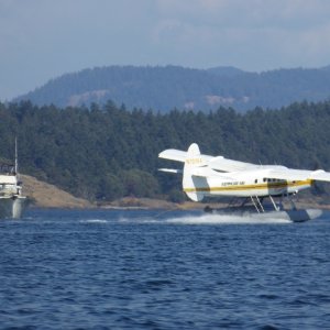 Kenmore plane taking off