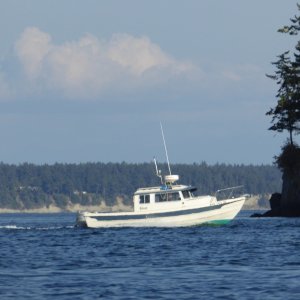 Saw this 22 Cruiser heading towards fuel dock as I was heading in from kayaking. It has the rare sliding rear window.