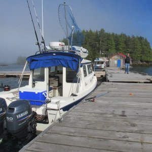 Stephens Island