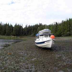 Porcher Island