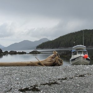 Cherry Islets, southeast off Pitt Island (Squally Channel)