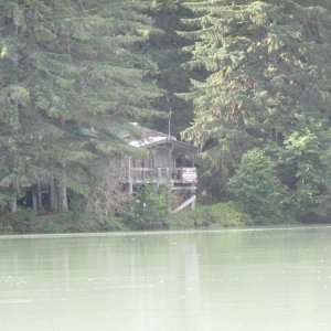 Kitlope River Watchmen cabin