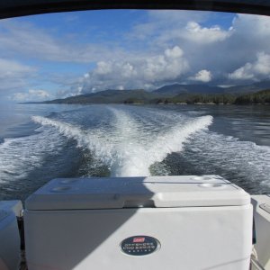 Media 'Principe Channel at Monckton Inlet' in album 'C-Dory 22'