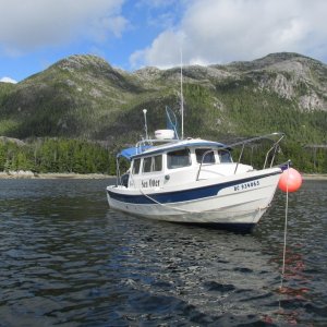 McMicking Inlet, Campania Island