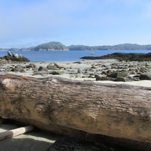 Anderson Islands (Aristazabal Island west coast)