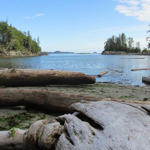 Barnard Island (Estevan Group)