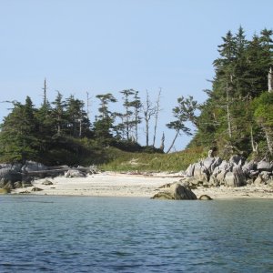 Stephens Island (west coast)