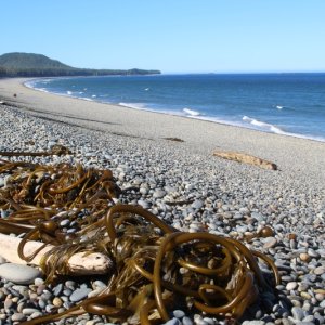 Oval Bay (Porcher Island)