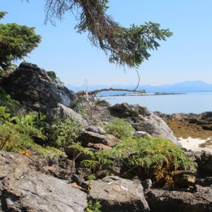 Ducie Island (Hudson Bay Passage). Whitesand Island in background