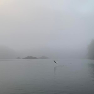 Borrowman Bay, Aristazabal Island