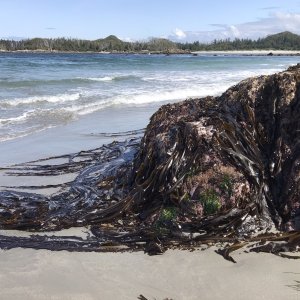 Calvert Island
