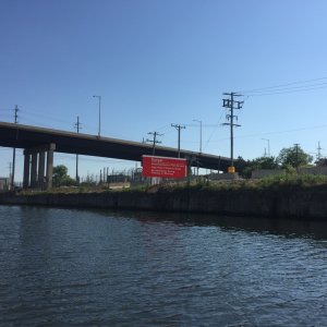 Media 'Electric Fish Barrier downstream of Chicago' in album 'New RTIC 65qt cooler'