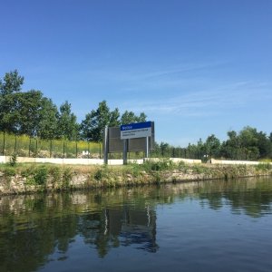 Electric Fish Barrier downstream of Chicago