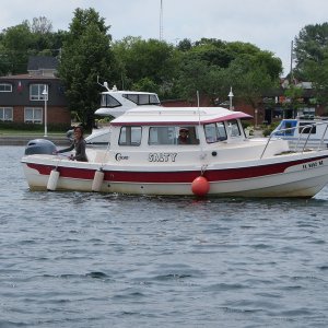 Media 'Salty, Little Current, ON, 17aug17' in album 'Salty, Little Current, ON, 17aug17'