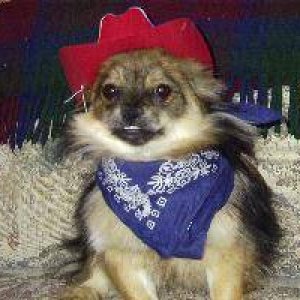 Poo Bear
Cow dog as 2nd Mate ???????