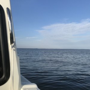 D71BA76B-4E01-4D54-81FA-C56CE059AE51
