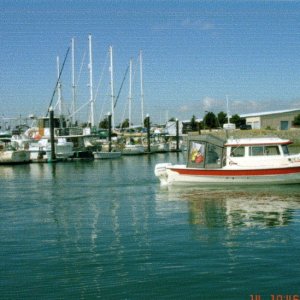 SEA SHIFT in Squalicum Harbor