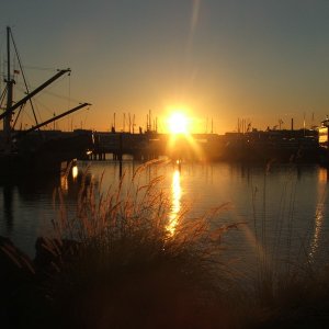 Squalicum Sunset