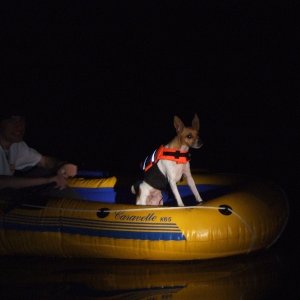 Cloie Keeping Watch over Matia Island