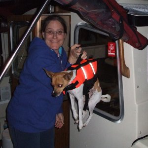 Ann Retrieving Cloie from Watch