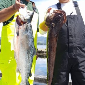 Fish On!
